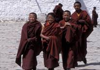 Tibetan Monks